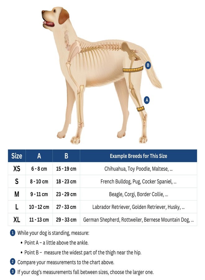 Fico Dog Knee Brace for Hind Leg Support - Left Leg, CCL ACL Brace for Dogs, Vet Approved, Adjustable Orthopedic Support for Arthritis, Ligament Injuries & Post-TPLO Surgery Recovery (X Small) - Image 2